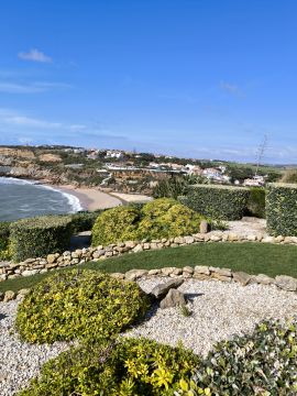 Bougainville Gardens - Torres Vedras - Lawncare