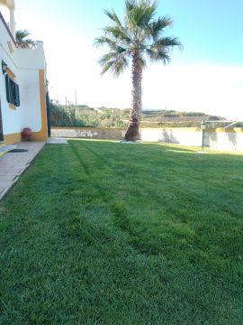 DreamGardens - Torres Vedras - Baumpflanzung