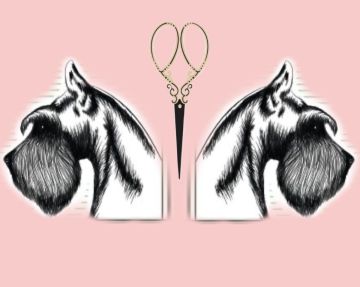 Diseñador gráfico para diseño de logos