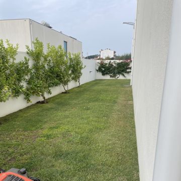 Jardins Carvalho - São João da Madeira - Baumstumpf oder -wurzel wegfräsen und entfernen