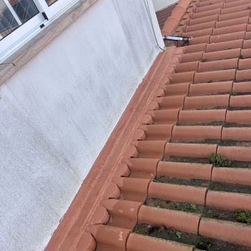 Tiago Gomes - Caldas da Rainha - Instalação de Alcatifa