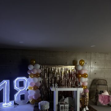 Sara Ferreira - Vila Nova de Famalicão - Decorações com Balões
