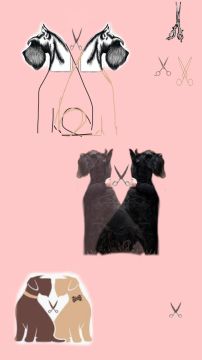 Diseñador gráfico para diseño de logos - Servicios Empresariales