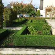 Luis Sousa - Santa Comba Dão - Shrub Removal