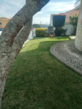 DreamGardens - Torres Vedras - Gartenarbeit