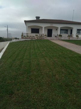 DreamGardens - Torres Vedras - Baumpflege