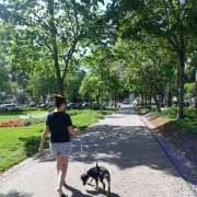 Sílvia Santos - Oeiras - Dog Daycare