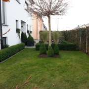 Luis Sousa - Santa Comba Dão - Multi Service Lawn Care