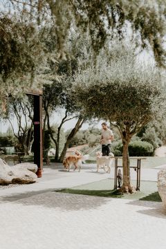 Amor de Quatro Patas - Porto - Dog Walking