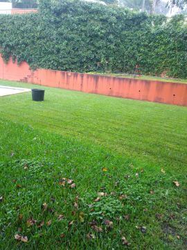 DreamGardens - Torres Vedras - Baumpflege