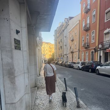 Rodrigo Treinador de Cães em Lisboa - Lisboa - Dog Walking