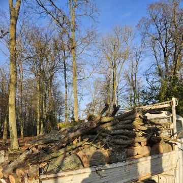 Arsen Fedoriv - Cascais - Tree Trimming and Maintenance