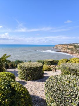 Bougainville Gardens - Torres Vedras - Gardening