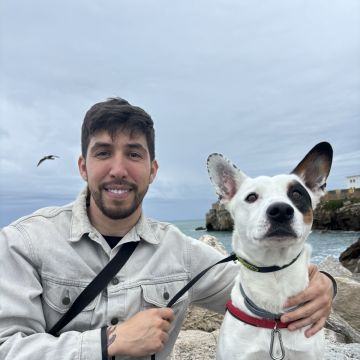 Rodrigo Treinador de Cães em Lisboa - Lisboa - Treino de Cães