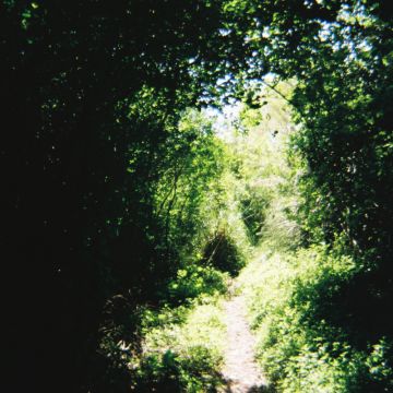 Lis - Gondomar - Limpeza de Propriedade