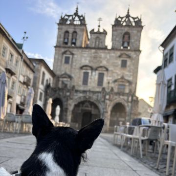 Kadu Vasconcellos - Guimarães - Paseador de perros