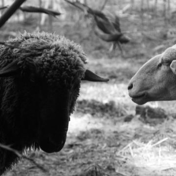 Lis - Gondomar - Fotografia de Casamentos