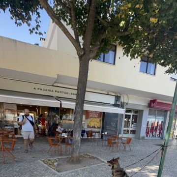 Rodrigo Treinador de Cães em Lisboa - Lisboa - Pet Sitting e Pet Walking