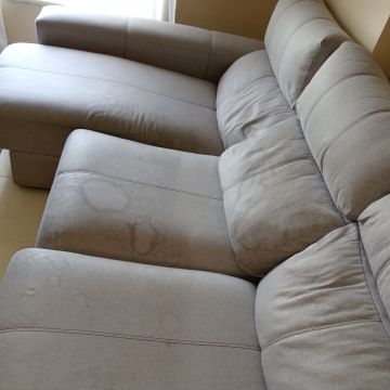 Deep_clean_23 - Sesimbra - Rug Cleaning