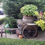 Luis Sousa - Santa Comba Dão - Tree Stump Grinding and Removal