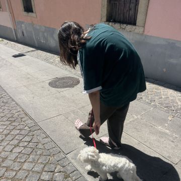 Rodrigo Treinador de Cães em Lisboa - Lisboa - Treino de Cães