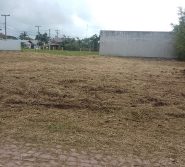 TerrenosLimpos - Águeda - Multi Service Lawn Care
