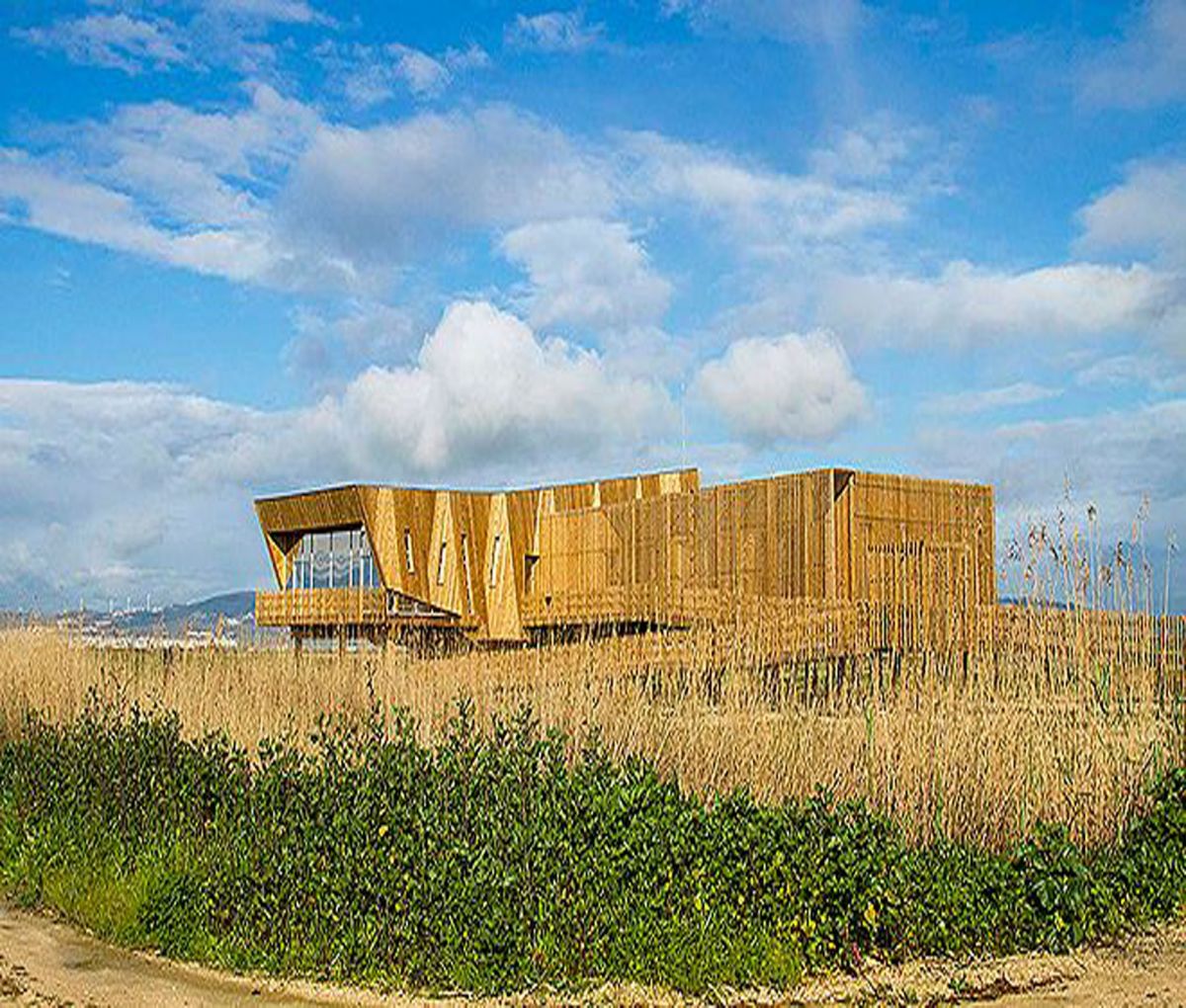Alice Maria Alves Baptista Fael - Vila Franca de Xira - Home Organizing