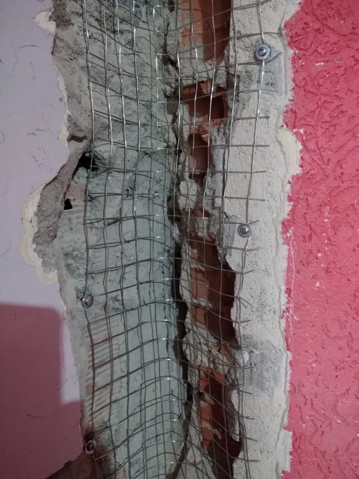 Manoelito Santos - Almada - Tree Stump Grinding and Removal