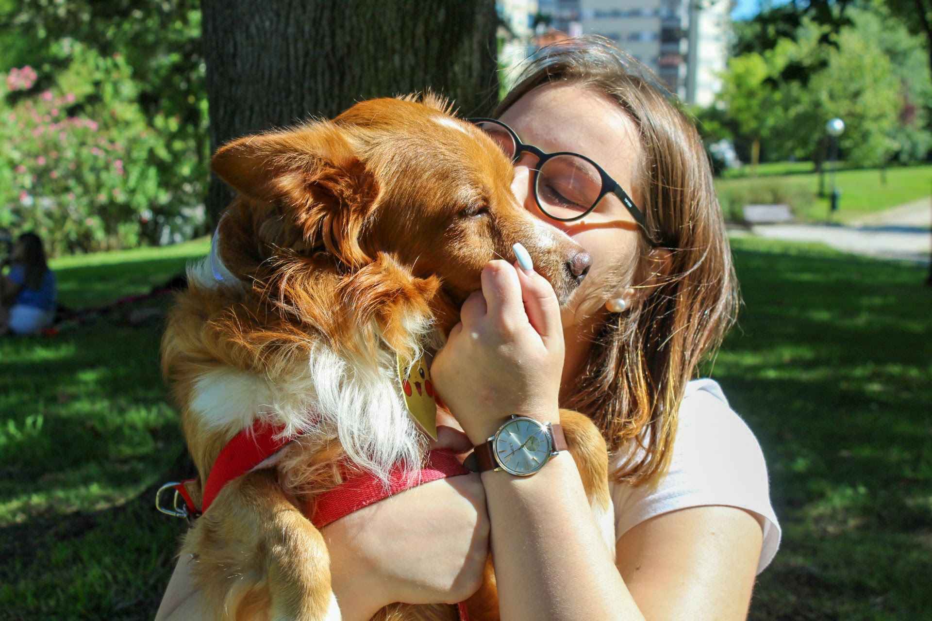 Ohanapetsitting - Seixal - Dog Walking