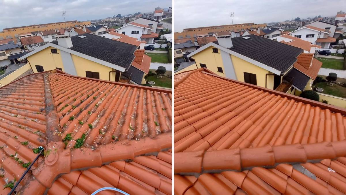 Soares - Leiria - Poda e Manutenção de Árvores