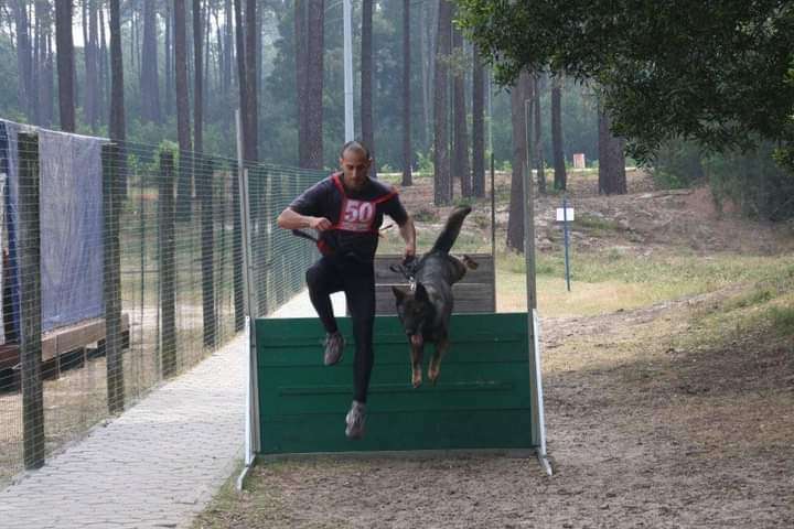 Ricardo - Vila Franca de Xira - Treino de Cães - Aulas