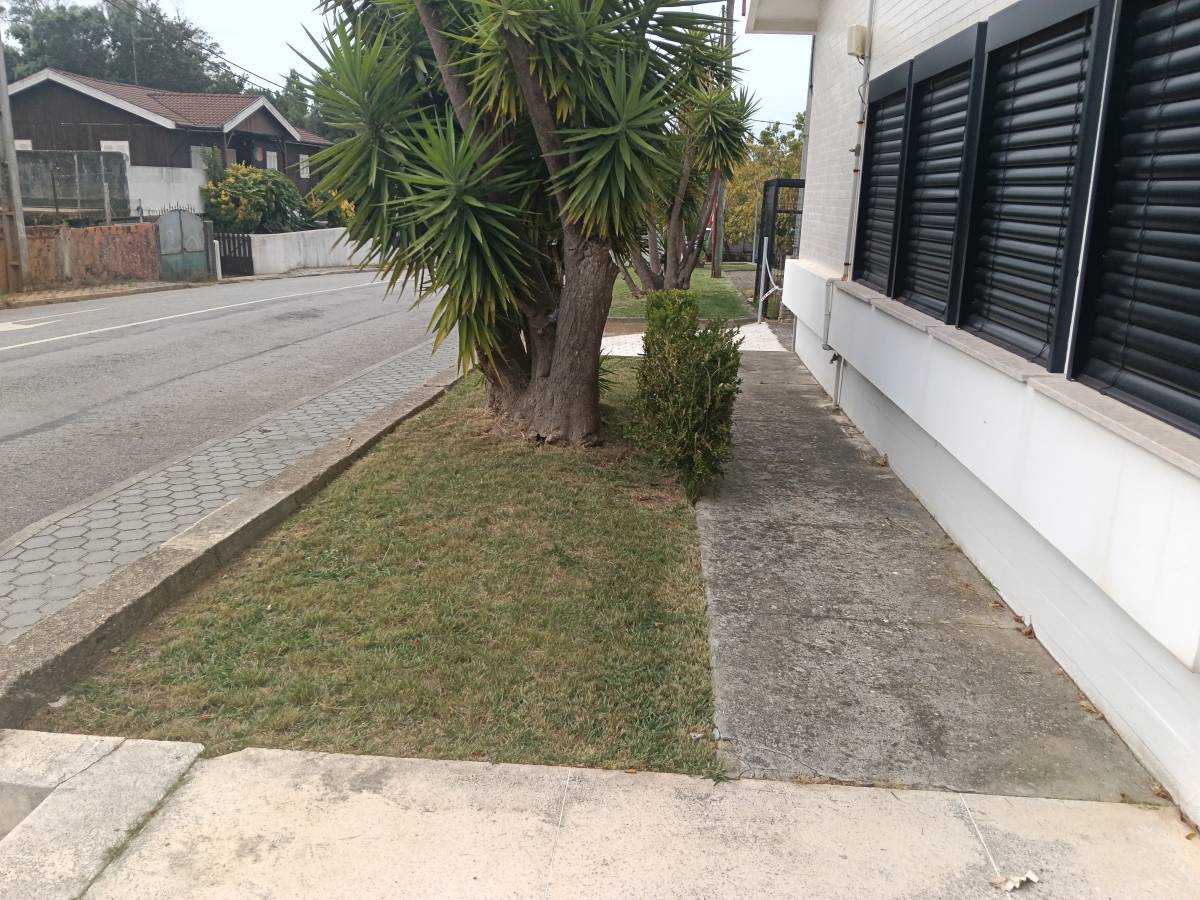 Jardineiro Luís Cruz Unipessoal lda - Ovar - Gartenarbeit