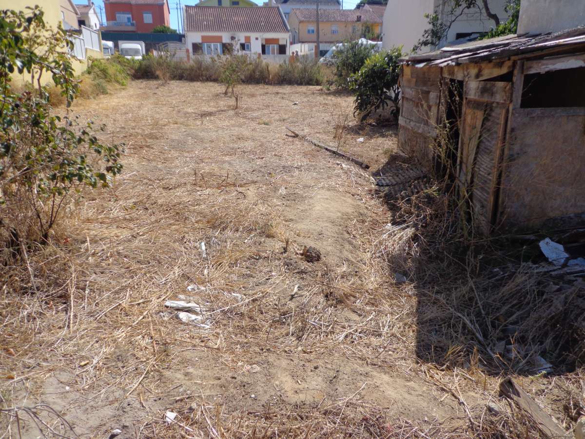Land clearance specialist