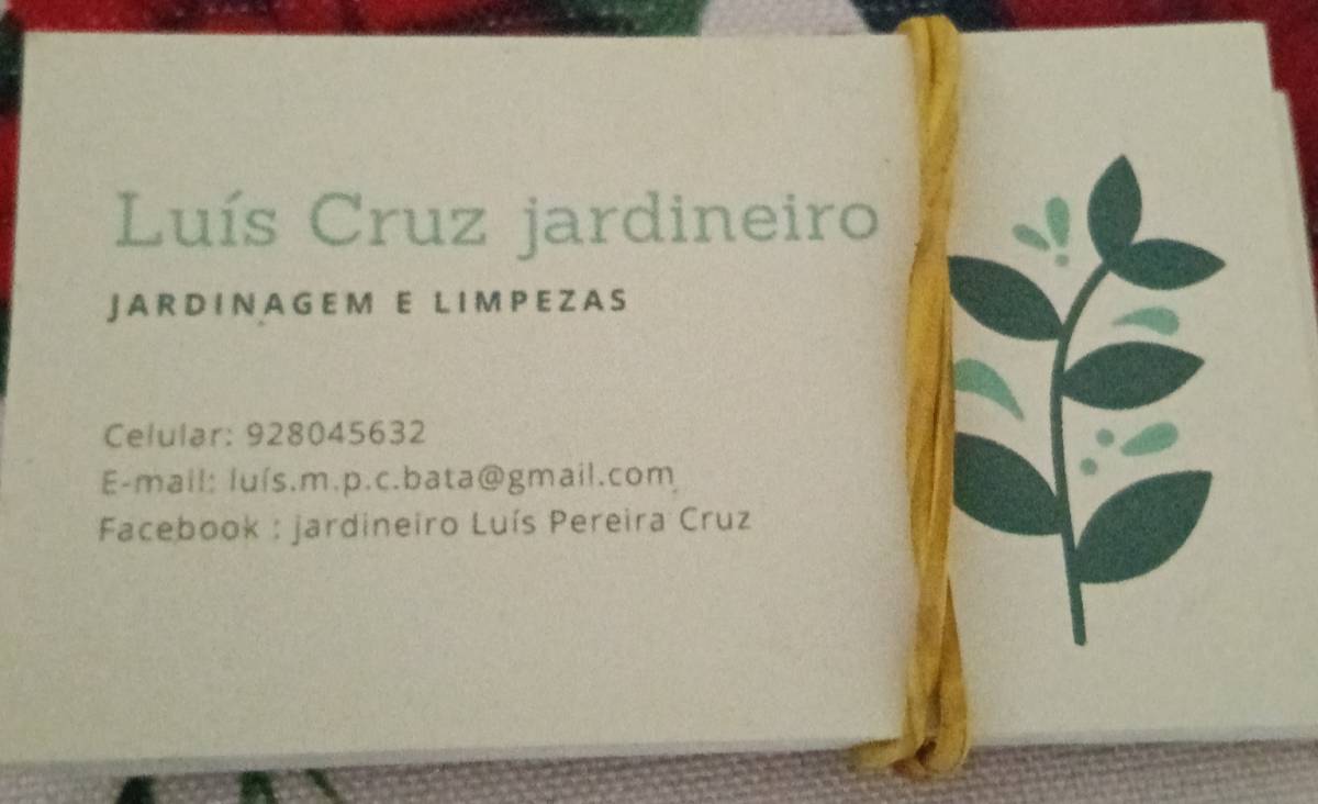 Jardineiro Luís Cruz Unipessoal lda - Ovar - Unkraut jäten