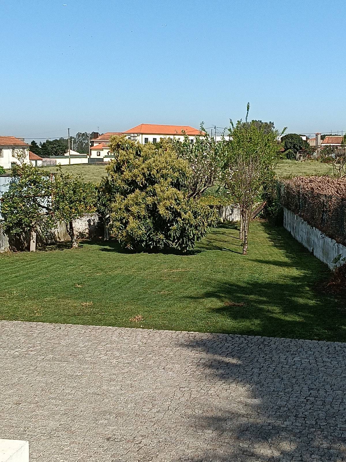 Jardineiro Luís Cruz - Ovar - Enlèvement de souches d’arbres