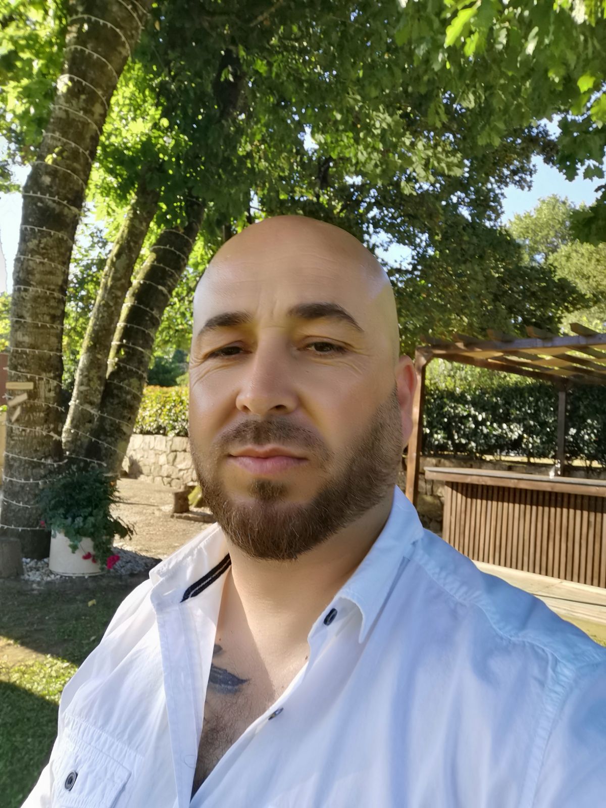 Paulo Martins - Oliveira de Azeméis - Oven and Stove Repair or Maintenance