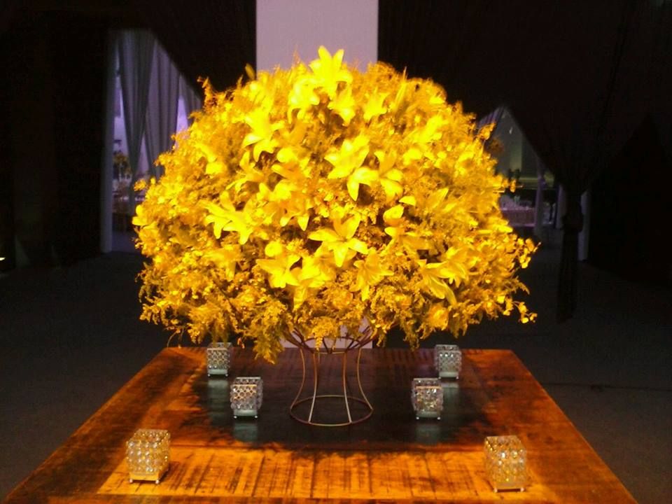 Vera Gaspar - Cascais - Florists