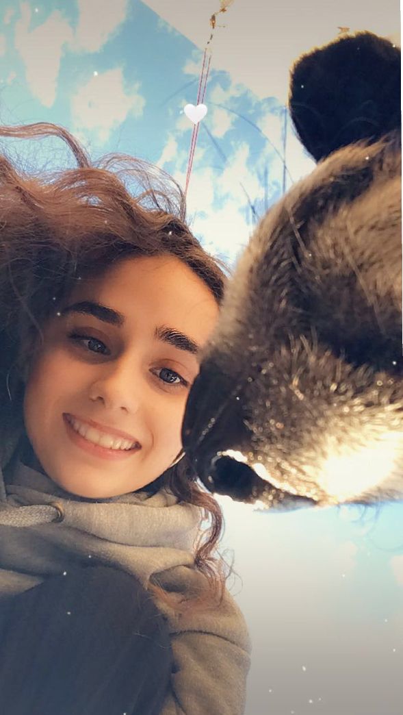 Joana - Águeda - Dog Hotel