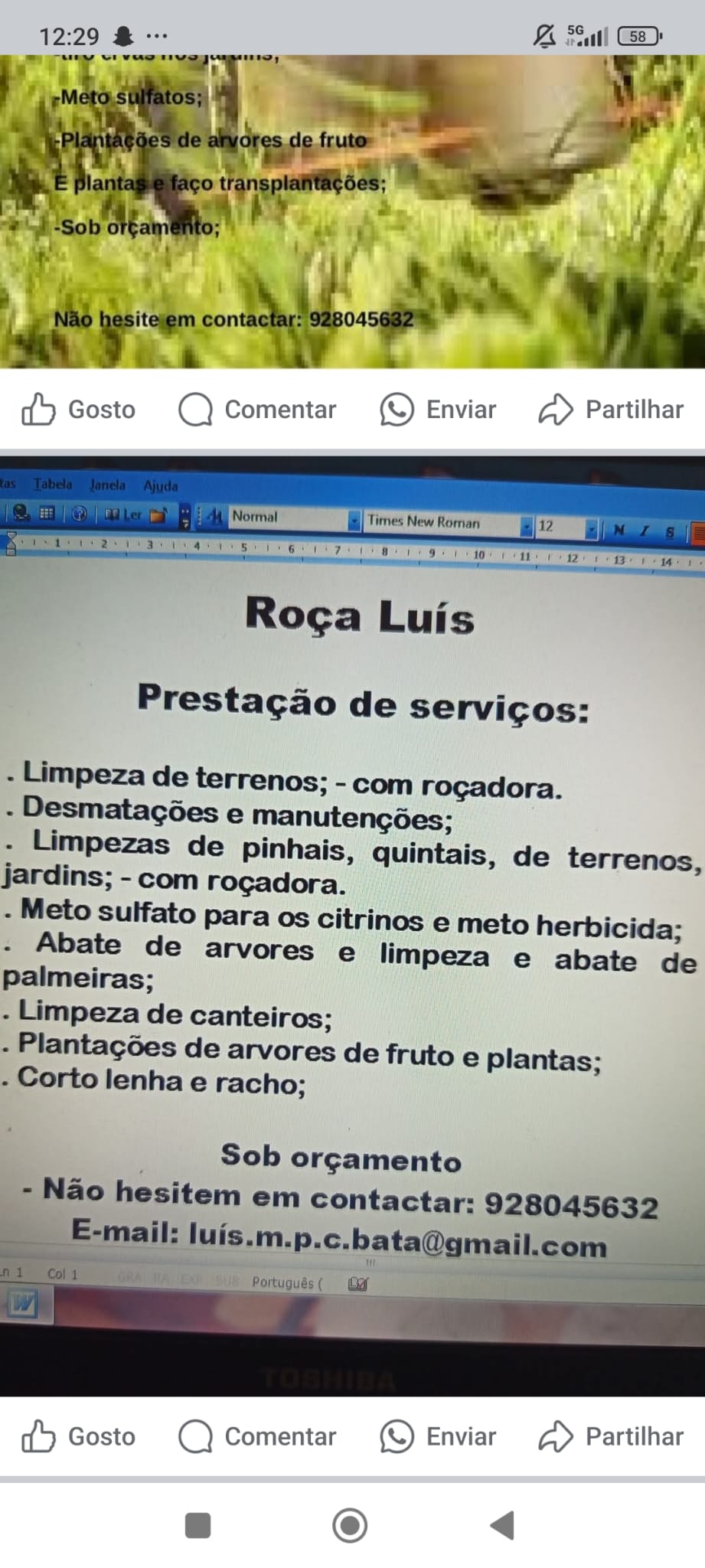 Jardineiro Luís Cruz Unipessoal lda - Ovar - Gartenarbeiten