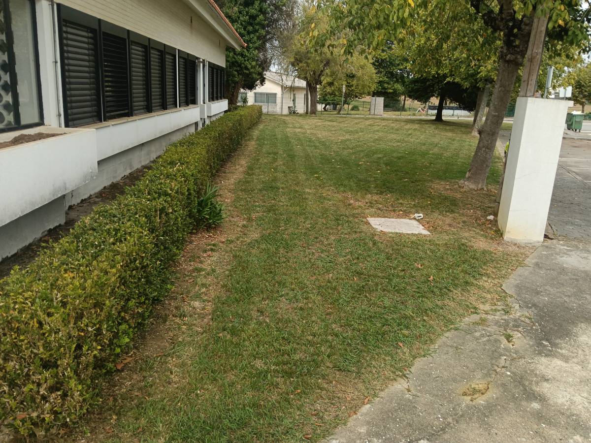 Jardineiro Luís Cruz Unipessoal lda - Ovar - Rasenpflege - Kompletter Rundum-Service