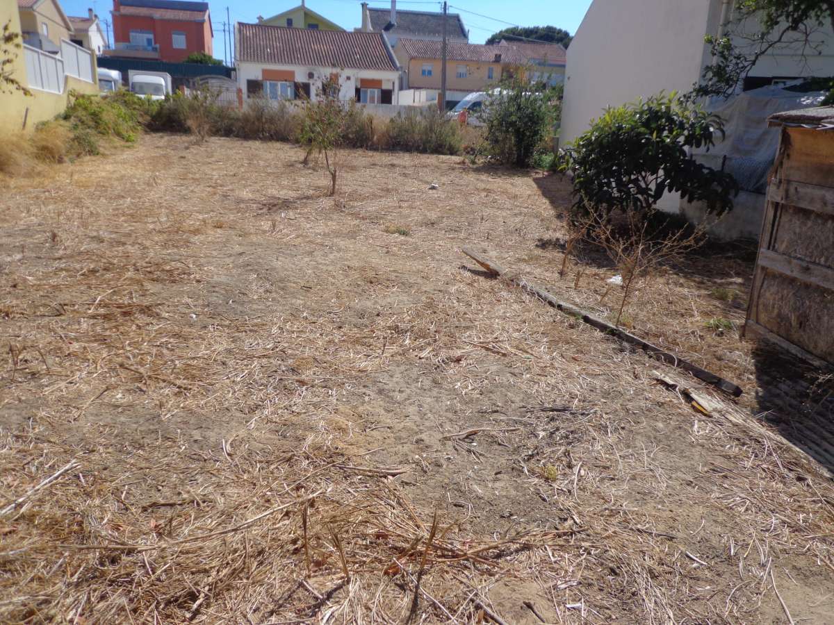 Lawncare