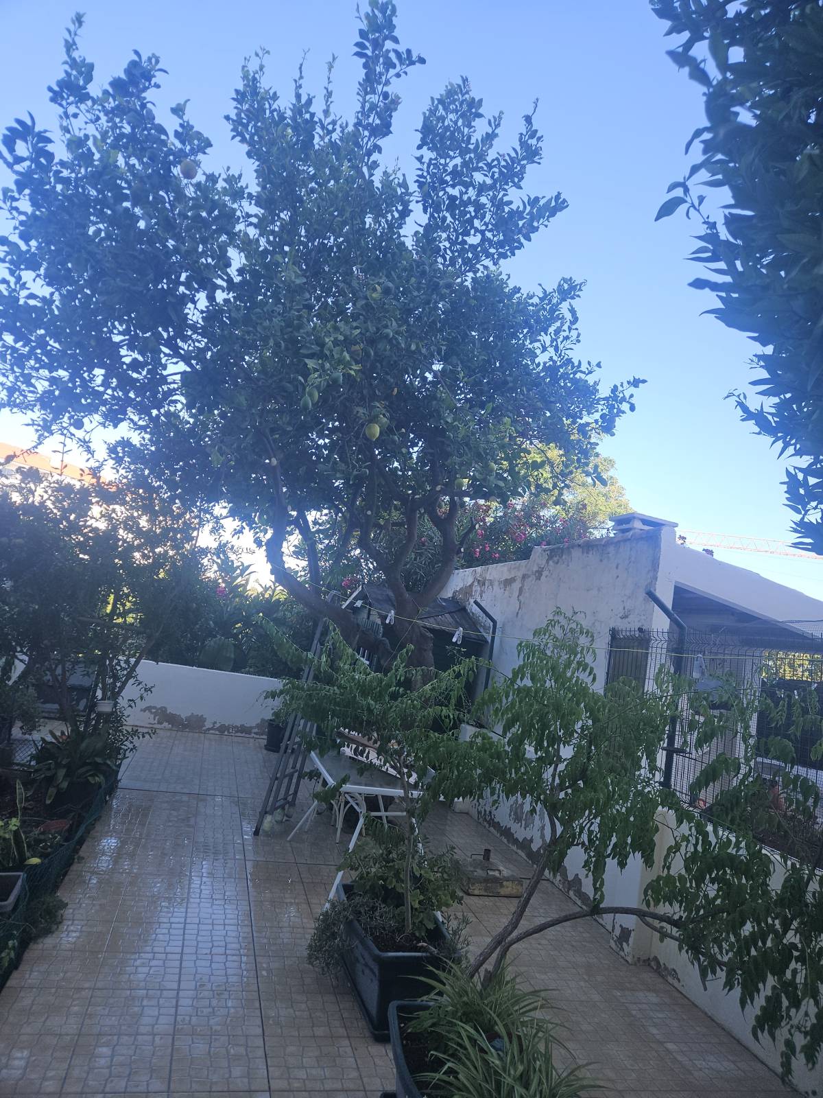 RM- Manutenções Gerais - Silves - Reparação de Piscina