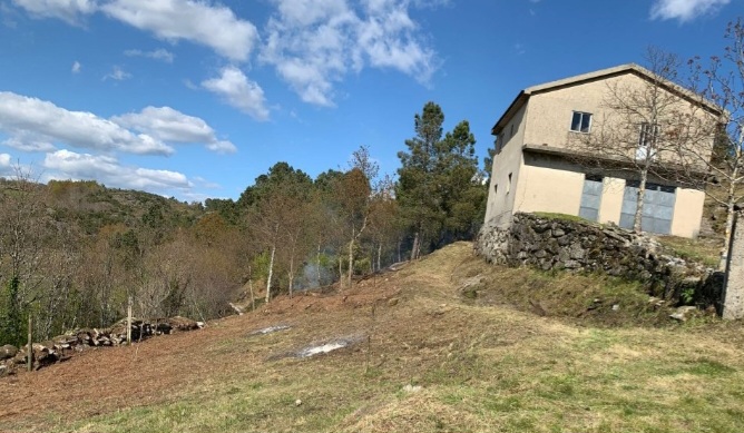 TerrenosLimpos - Águeda - Shrub Removal