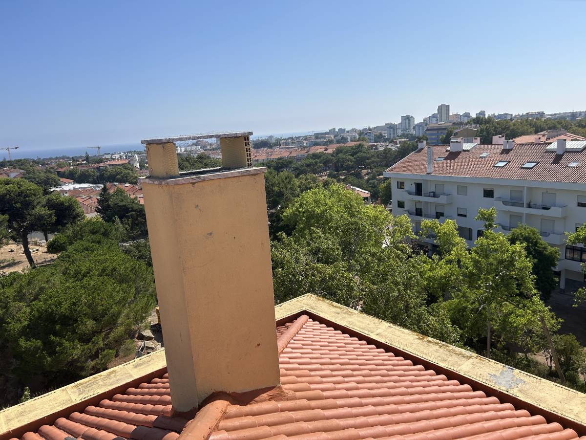 Vladmir Fonseca - unipessoal,Lda - Loures - Remoção de Lixo e Entulho