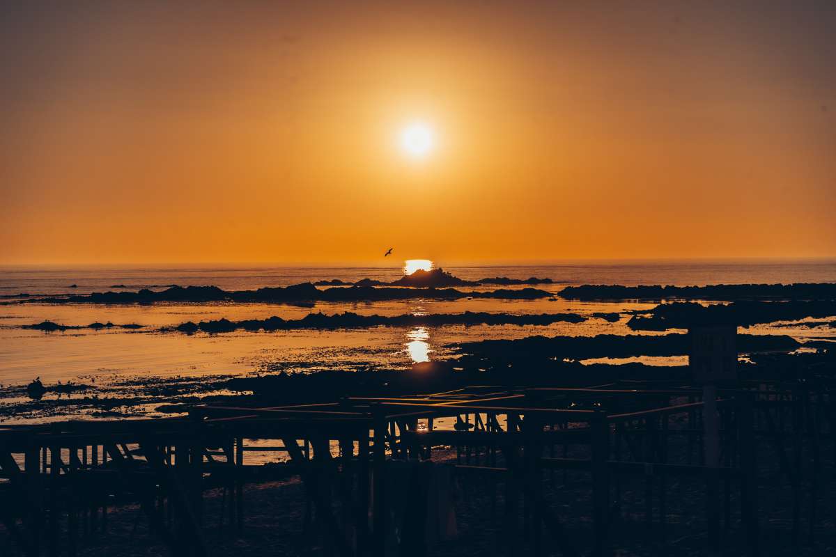 Stefany Santos - Vila do Conde - Sports Photography