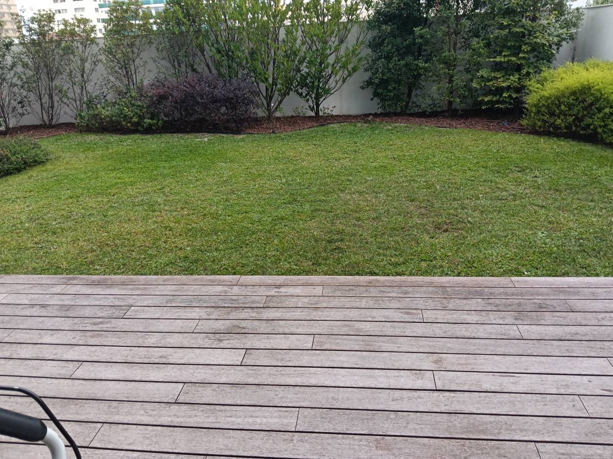 Jardineiro Luís Cruz Unipessoal lda - Ovar - Baumstumpf oder -wurzel wegfräsen und entfernen