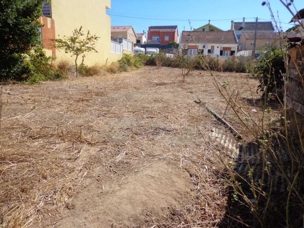 Land Clearance