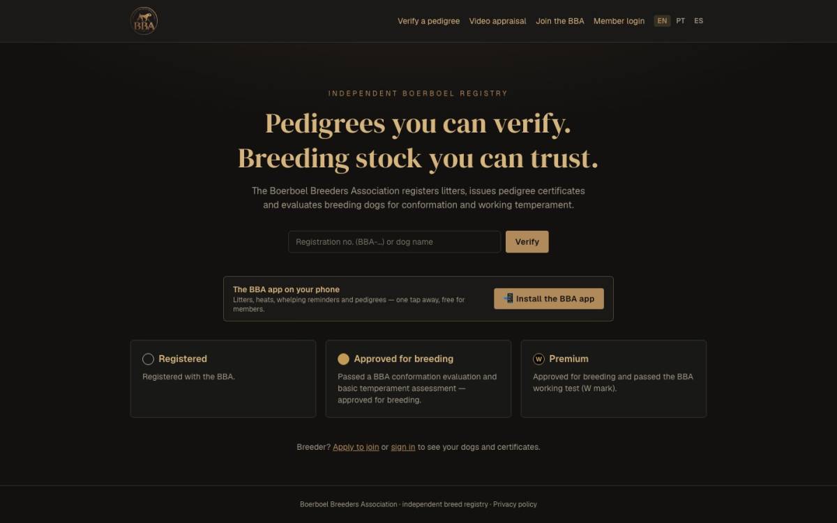 Rui Navarro · Marrow4 - Alenquer - Diseño web