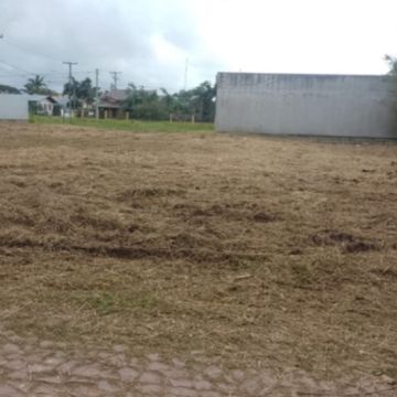 TerrenosLimpos - Águeda - Multi Service Lawn Care