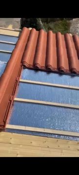 Alex Gomes - Lourinhã - Vinyl or Linoleum Repair or Partial Replacement